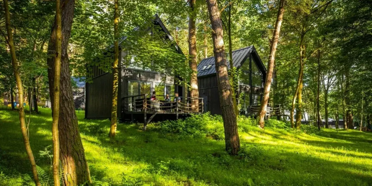 Nowoczesne **hotel w lesie**, z drewnianymi tarasami i dużymi oknami, otoczony zielenią.