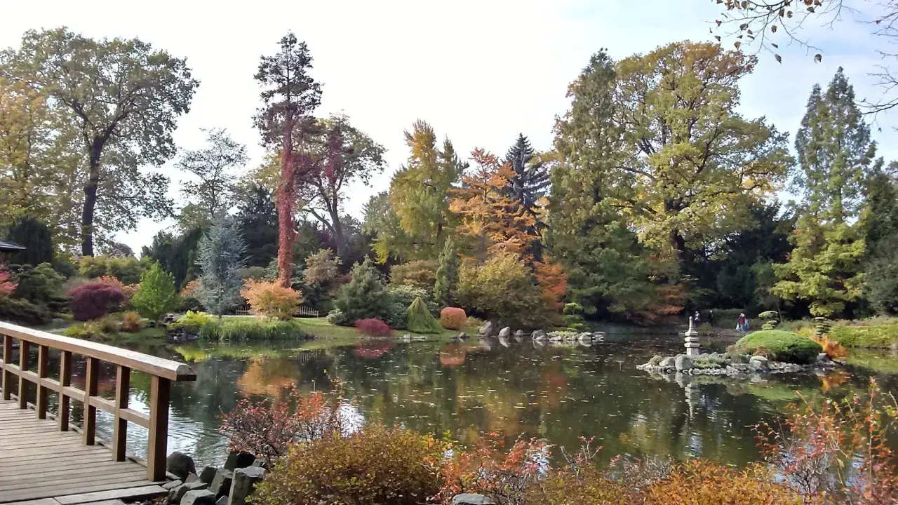 Jesienna odsłona jednego z najpiękniejszych ogrodów botanicznych w Polsce. Drewniany mostek, staw z odbiciami drzew i kamienna latarnia tworzą malowniczy krajobraz.