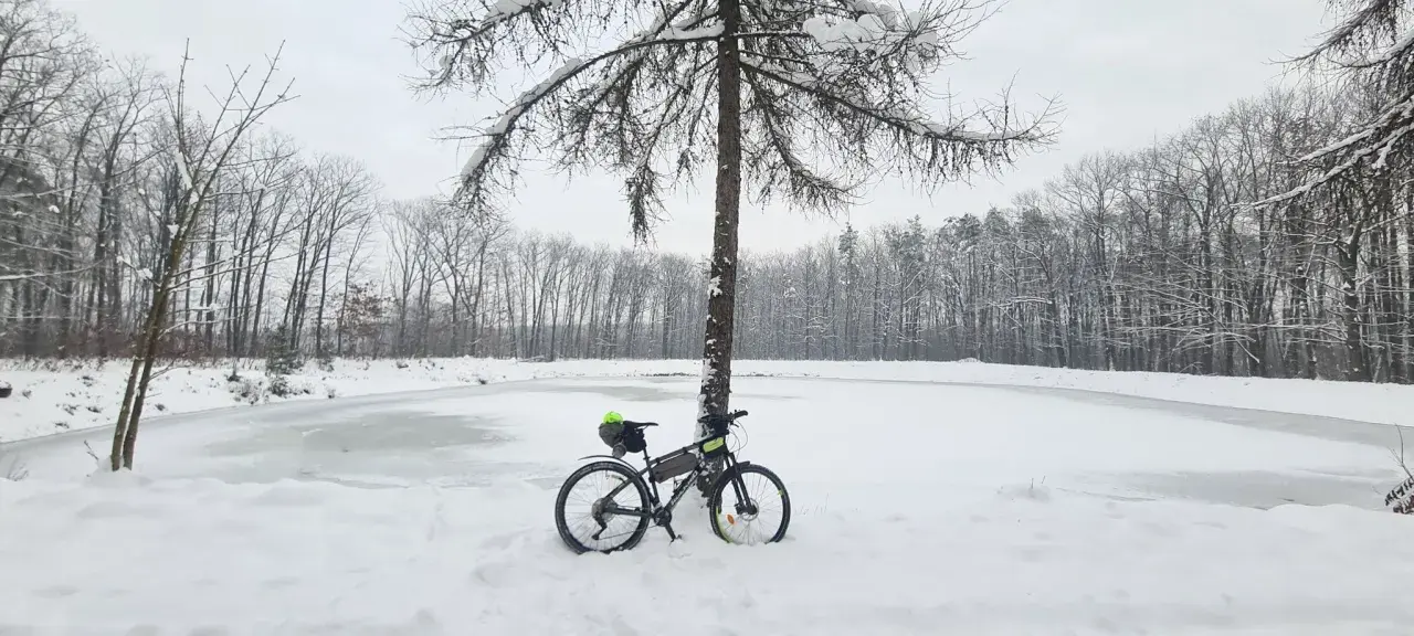 Rower czeka na wiosnę przy zamarzniętym stawie. Zimowe trasy rowerowe Tarnów kuszą pięknem przyrody.
