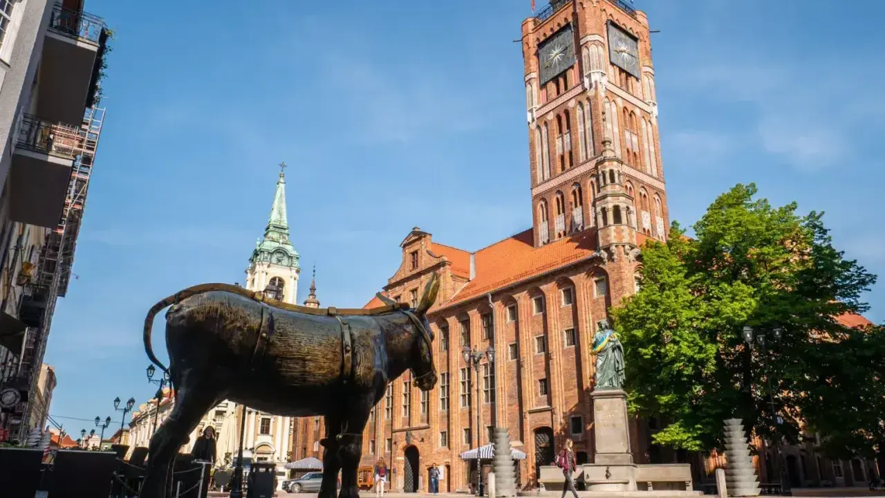 Pomnik osiołka na Rynku Staromiejskim w Toruniu, obok Ratusza Staromiejskiego. Jedna z wielu toruńskich atrakcji.