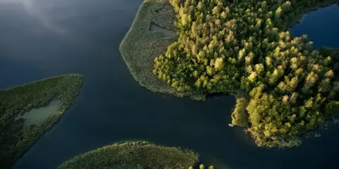 Malownicze jeziora i lasy, z żaglówką na wodzie, to kwintesencja tego, z czego słynie Podlasie. Raj dla miłośników natury.