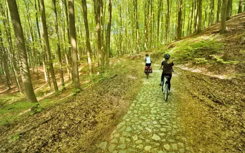 Dwie osoby na rowerach przemierzają malownicze ścieżki rowerowe lubuskie, otoczone bujnym lasem.