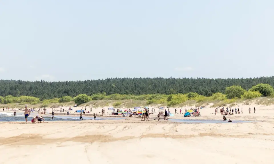 Słoneczna plaża pełna ludzi, z lasem w tle. To idealne miejsce na wypoczynek, jak w urokliwej wsi nad morzem.