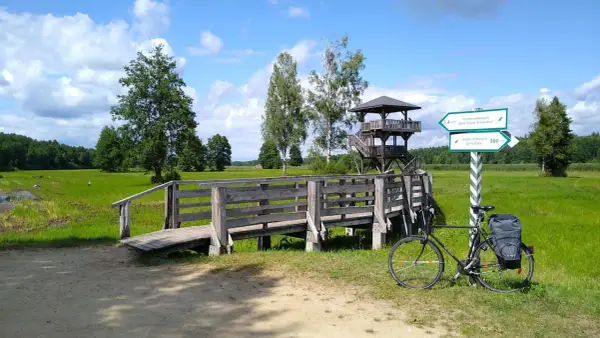 Rower czeka przy drewnianym pomoście, gotowy na odkrywanie tras rowerowych Podlasia. Wieża widokowa zaprasza do podziwiania krajobrazu.